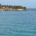 Ksquared פרוטאראס