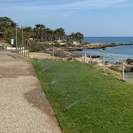 Ksquared 普罗塔拉斯