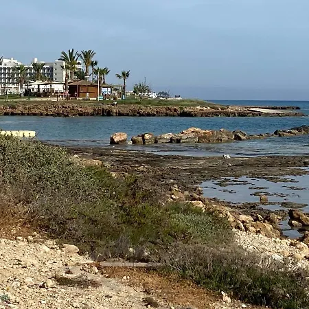 Ksquared * 普罗塔拉斯